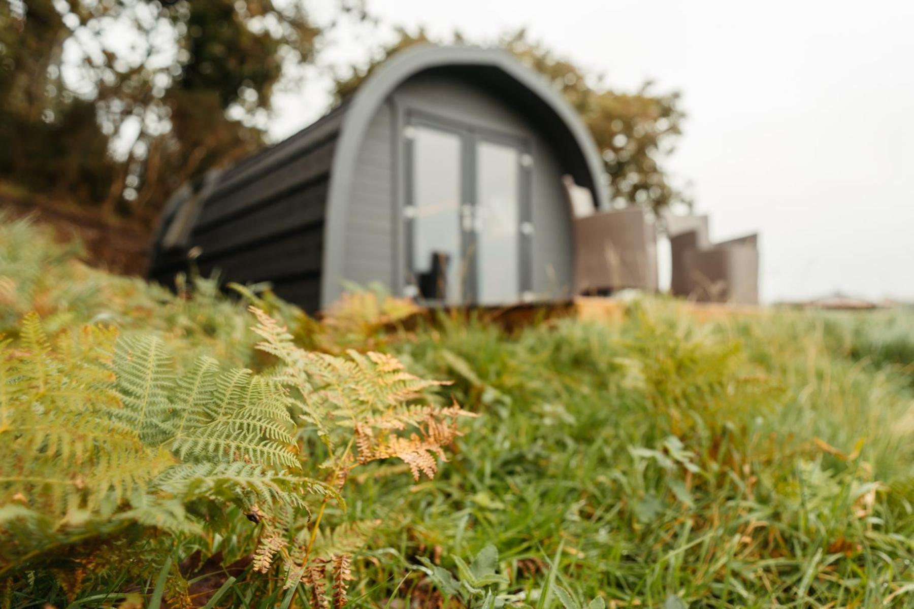 Cefn Crib Cabins มาฮันเล็ธ ภายนอก รูปภาพ